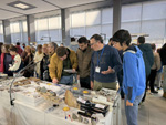 MINERVAL 2025. Feria de Minerales de Valencia