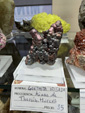 MINERVAL 2025. Feria de Minerales de Valencia