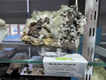 MINERVAL 2025. Feria de Minerales de Valencia