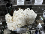 MINERVAL 2025. Feria de Minerales de Valencia