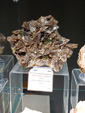 42 Edición Natura Minerales, Fósiles y Gemas