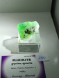42 Edición Natura Minerales, Fósiles y Gemas