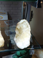 42 Edición Natura Minerales, Fósiles y Gemas