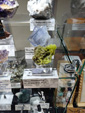 42 Edición Natura Minerales, Fósiles y Gemas