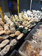 42 Edición Natura Minerales, Fósiles y Gemas