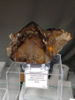 42 Edición Natura Minerales, Fósiles y Gemas