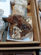 42 Edición Natura Minerales, Fósiles y Gemas