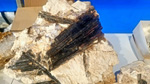 I Feria de Minerales de Pantoja