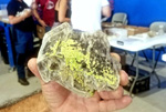 I Feria de Minerales de Pantoja