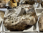 I Feria de Minerales de Pantoja