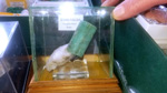 I Feria de Minerales de Pantoja