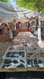 V Feria de Minerales, Rocas y Fósiles de Castilla León 