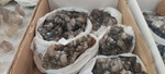 2ª Mesa de Minerales del Mar Menor