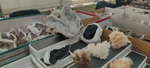 2ª Mesa de Minerales del Mar Menor