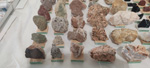 2ª Mesa de Minerales del Mar Menor