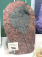 III Feria Internacional Minerales, Fósiles y Gemas de Utrillas