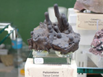 III Feria Internacional Minerales, Fósiles y Gemas de Utrillas