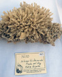 XII Mesa de Intercambio de MInerales de Alicante