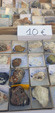 XII Mesa de Intercambio de MInerales de Alicante