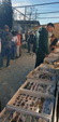 XII Mesa de Intercambio de MInerales de Alicante