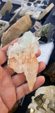 XII Mesa de Intercambio de MInerales de Alicante
