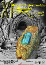 XI Mesa de Intercambio de MInerales de Alicante