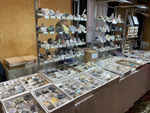 INTERMINERAL ZARAGOZA 2025. XXIX Feria de Minerales, Fósiles y Gemas