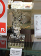 INTERMINERAL ZARAGOZA 2025. XXIX Feria de Minerales, Fósiles y Gemas