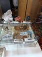 INTERMINERAL ZARAGOZA 2025. XXIX Feria de Minerales, Fósiles y Gemas