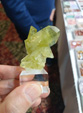INTERMINERAL ZARAGOZA 2025. XXIX Feria de Minerales, Fósiles y Gemas