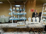 INTERMINERAL ZARAGOZA 2025. XXIX Feria de Minerales, Fósiles y Gemas