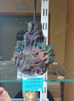 INTERMINERAL ZARAGOZA 2025. XXIX Feria de Minerales, Fósiles y Gemas