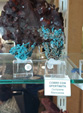 INTERMINERAL ZARAGOZA 2025. XXIX Feria de Minerales, Fósiles y Gemas