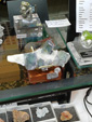 INTERMINERAL ZARAGOZA 2025. XXIX Feria de Minerales, Fósiles y Gemas