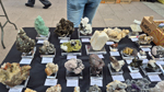 XXVIII Fira de Minerals de Castelló