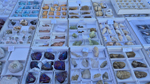 XIII Mesa de Intercambio de Minerales y Fósiles de Alicante