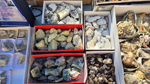 XIII Mesa de Intercambio de Minerales y Fósiles de Alicante