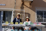 XIII Mesa de Intercambio de Minerales y Fósiles de Alicante