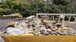 XIII Mesa de Intercambio de Minerales y Fósiles de Alicante