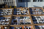 XIII Mesa de Intercambio de Minerales y Fósiles de Alicante