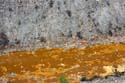 15 Agosto 2009 - Comarcas mineras de Río Tinto