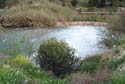 24 Abril 2010 - Agramón Albacete y cañones de los Almadenes