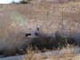 26 Noviembre 2011 - Agramón Albacete