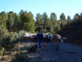 22 Diciembre 2012 - La Escarabechuela