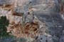26 Mayo 2012 - Mina Horcolana. Busot. Alicante