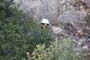 26 Mayo 2012 - Mina Horcolana. Busot. Alicante