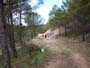 Montalban y cañada de Verich