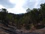 Montalban y cañada de Verich