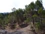 Montalban y cañada de Verich