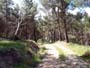 Montalban y cañada de Verich